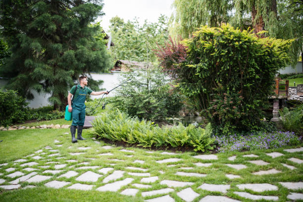 Best Pest Control Near Me  in East Shoreham, NY
