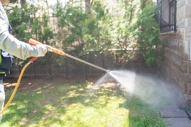 Professional Pest Control in East Shoreham, NY