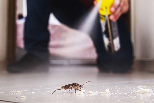 Best Best Pest Control Companies  in East Shoreham, NY